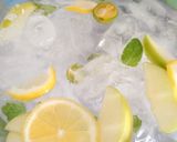 Foto langkah ke 4 dari resep Infused water lemon, apel hijau, and daun mint.