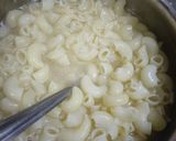 મસાલા પાસ્તા (Masala Pasta Recipe In Gujarati) રેસીપી સ્ટેપ2ફોટો