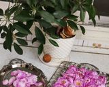 عکس مرحله 1 از دستور مربای گل محمدی