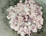 Foto langkah ke 2 dari resep Cumi Laut Pedas (Inspired by Rosa Meldianti).