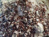 Galletitas tipo cerealitas