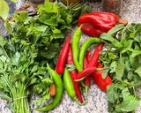Une image de l'étape 2 de 🍶Sauce yaourt grec herbes 🌿 du jardin 🪏.