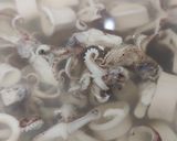 Foto langkah ke 2 dari resep Cumi bumbu suna cekuh khas bali.
