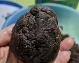 Foto del passaggio 4 della ricetta PIGNE AL CIOCCOLATO E CEREALI 🌲