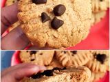 Keto Cinnamon Choco Cookies #ketopad #keto