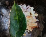 Foto langkah ke 1 dari resep 886. Sayur Pepaya Muda Kuah Santan.