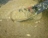 A picture of step 4 of Haidarabadi Paneer.