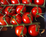 Foto del paso 3 de la receta: Ensalada de calabacín y cherrys