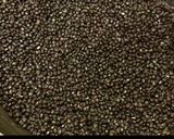 A picture of step 1 of Whole Black gram Laddu / Whole Black Urad Dal Laddu.