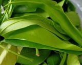 Foto langkah ke 4 dari resep Sayur Asem Betawi.