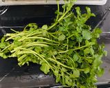 Foto langkah ke 1 dari resep Tumis Sayur Paret/ Selada Air.