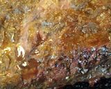 Foto del paso 3 de la receta: Vacío al horno macerado