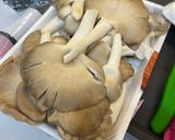 Hình bước làm 1 của món Nấm Bào Ngư Kho Nước Tương Chay