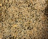 A picture of step 5 of Kiwi seasame Burfi.