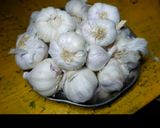 ભરેલાં લસણની સબ્જી (Stuffed Garlic Sabji recipe in Gujarati) રેસીપી સ્ટેપ1ફોટો