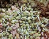 A picture of step 2 of Saprout bhel.