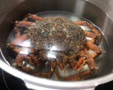 Foto del paso 1 de la receta: Centolla cocida 🤩🤩