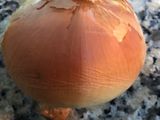 Guiso de aletas de calamar(receta sana y económica)