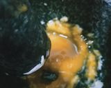 Foto del paso 2 de la receta: Mortero de allioli