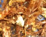 A picture of step 1 of Crayfish Powder.