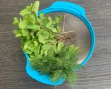 A picture of step 4 of Spicy Pea, Dill & Mint Soup                       (hare matar ka shorba)#vegan #vegetarian #soup.