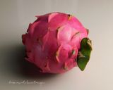 Foto langkah ke 1 dari resep Es Lumut Buah Naga Creamy.