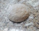 A picture of step 9 of Croissants.