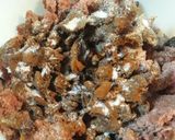 Foto langkah ke 9 dari resep Yang terkenal Casserole Pala.