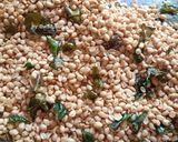 Foto langkah ke 9 dari resep Kacang Bawang Renyah.