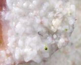 Foto langkah ke 4 dari resep Bubur Lele MPASI 6+.