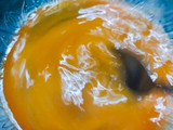 Egg Veggie