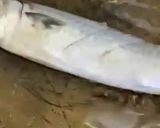 Foto langkah ke 3 dari resep Ikan layang Sambel Dabu - Dabu.