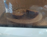 Foto del paso 2 de la receta: Berenjenas rellenas de atún, en microondas