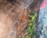 Foto del paso 3 de la receta: Lechón a la Parrilla