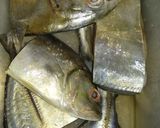 Foto langkah ke 1 dari resep Ikan semur.