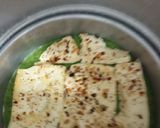 પનીર મગદાળ સેન્ડવીચ ઢોકળા (Paneer Moongdal Sandwich Dhokla Recipe In Gujarati) રેસીપી સ્ટેપ3ફોટો