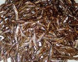 A picture of step 2 of Omena.