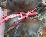 Foto langkah ke 1 dari resep Kepiting Saos Padang.