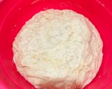 Foto langkah ke 5 dari resep Adonan Dasar Roti Tanpa Ulen.