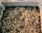 Foto langkah ke 3 dari resep Choco Cheese Chewy Brownies.