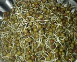 पोहा स्प्राउट्स नमकीन (poha sprouts namkeen recipe in Hindi) रेसिपी चरण 1 फोटो