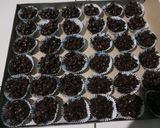 Foto langkah ke 4 dari resep Kacang balut cokelat.