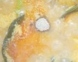Foto langkah ke 5 dari resep Gulai Daging Sapi Cincang.