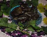 Stuffed vine leaves rolls (Dolmeh) recipe step 16 photo