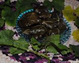 A picture of step 16 of Stuffed vine leaves rolls (Dolmeh).