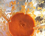 Foto del passaggio 3 della ricetta Crema di peperoni alla fiamma