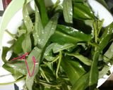 Foto langkah ke 1 dari resep Lutis Kangkung (kangkung rebus sambel petis).