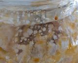 รูปขั้นตอนการทำที่ 7 ของ Mango vinegar