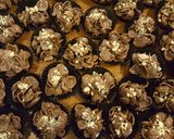 Foto langkah ke 5 dari resep 23. Coklat Kacang Corn flakes.