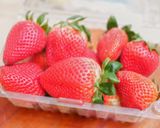 Foto langkah ke 4 dari resep Strawberry Layer Crepes / Mille Crepe.